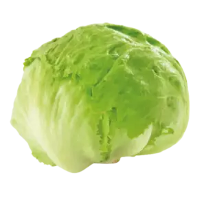 Eisbergsalat