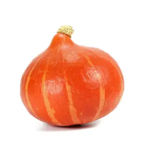 Hokkaido-Kürbis