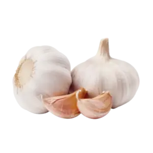 Knoblauch